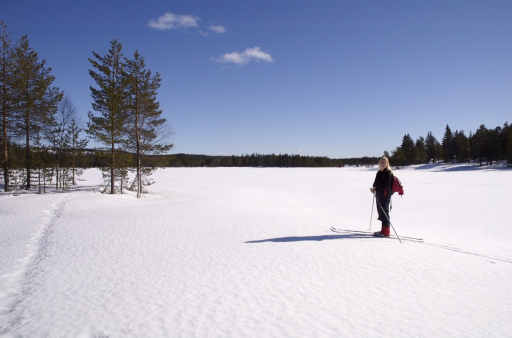 Mellomdammen, mot Tverråsen og demningen
