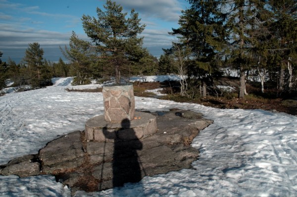 Skimtvarden
