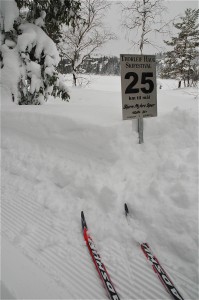 25 + x = 42.   Du skulle kanskje tro at du har gått 17 km når du kommer hit?