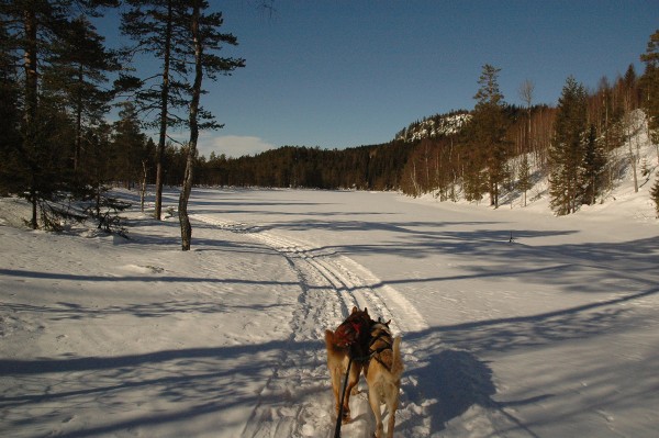 Fra indre Laupeina.  Dypingkollen reiser seg opp til høyre.